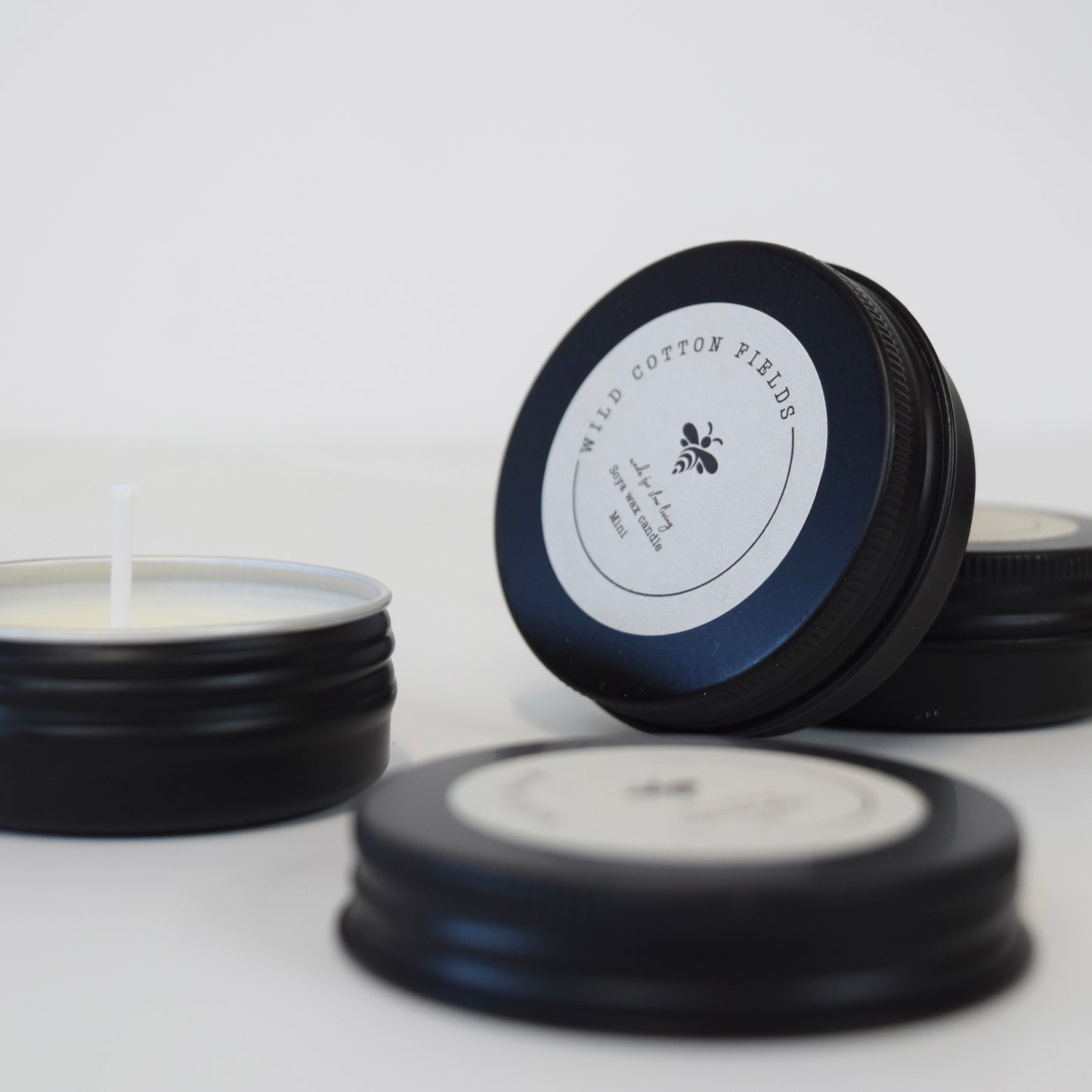 The Wild Collection Mini| Set of 3 Soy Wax Candle