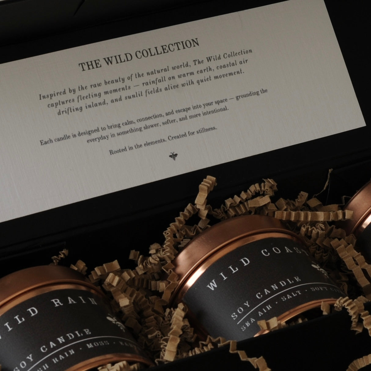 Wild Rain | 20cl Luxury Soy Candle